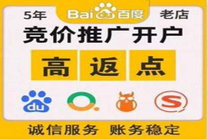 SEM托管实战案例：助力企业品牌形象塑造